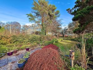 Photo 31- click for photo gallery